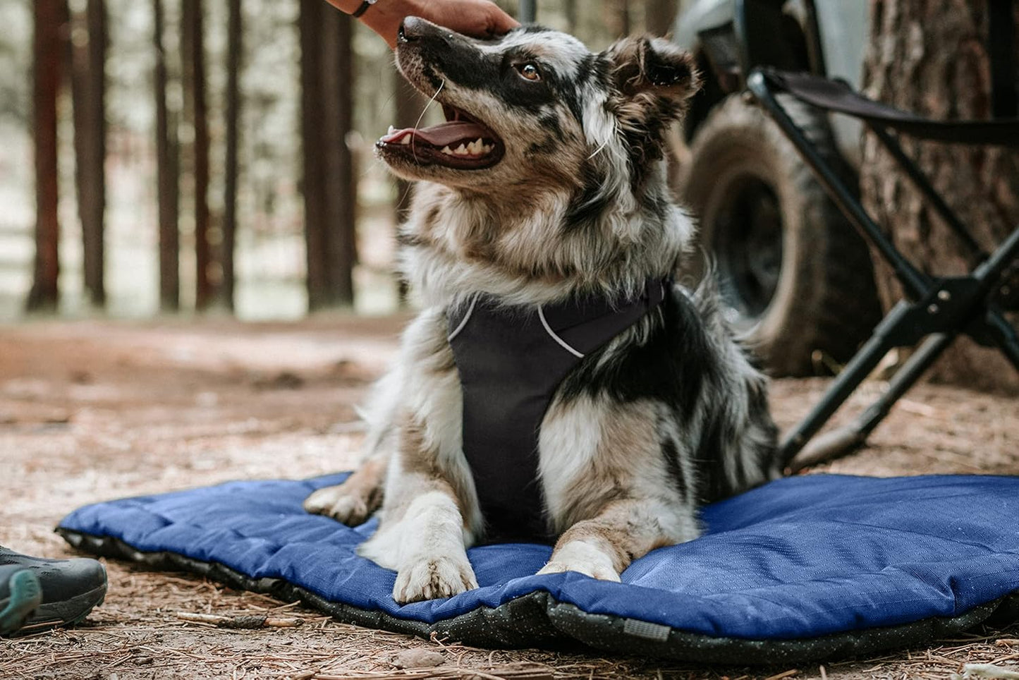 K9 Ballistics Tough Ripstop Dog Crate Pad - Durable & Machine Washable with Non-Skid Bottom and 120-Day Warranty, Fits 48" Wire Crates - X-Large, Light Gray Velvet