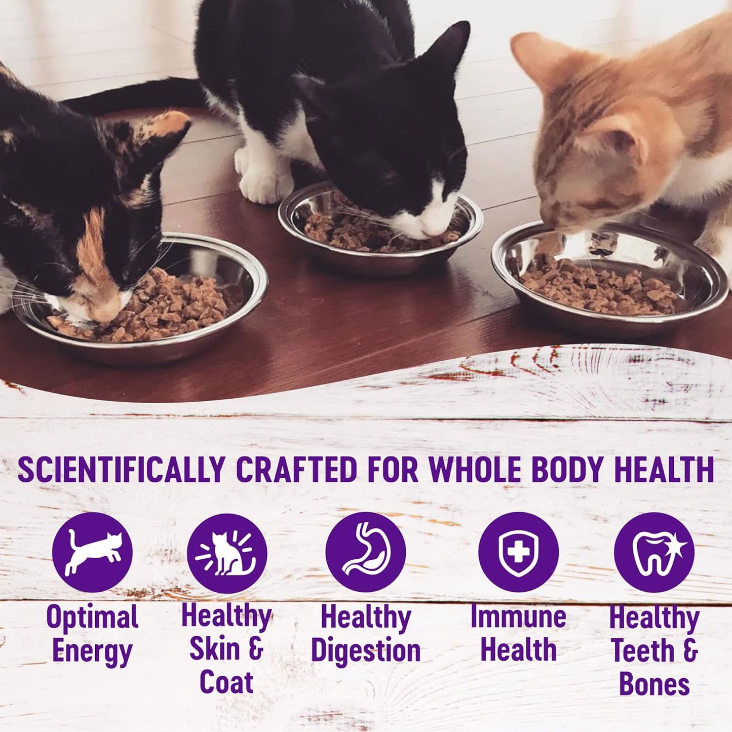 Wellness Healthy Indulgence Gravy Adult Wet Cat Food, Natural, Protein-Rich, Grain Free, 3 Ounce Pouch, 24 Pack, (Tuna & Mackerel)