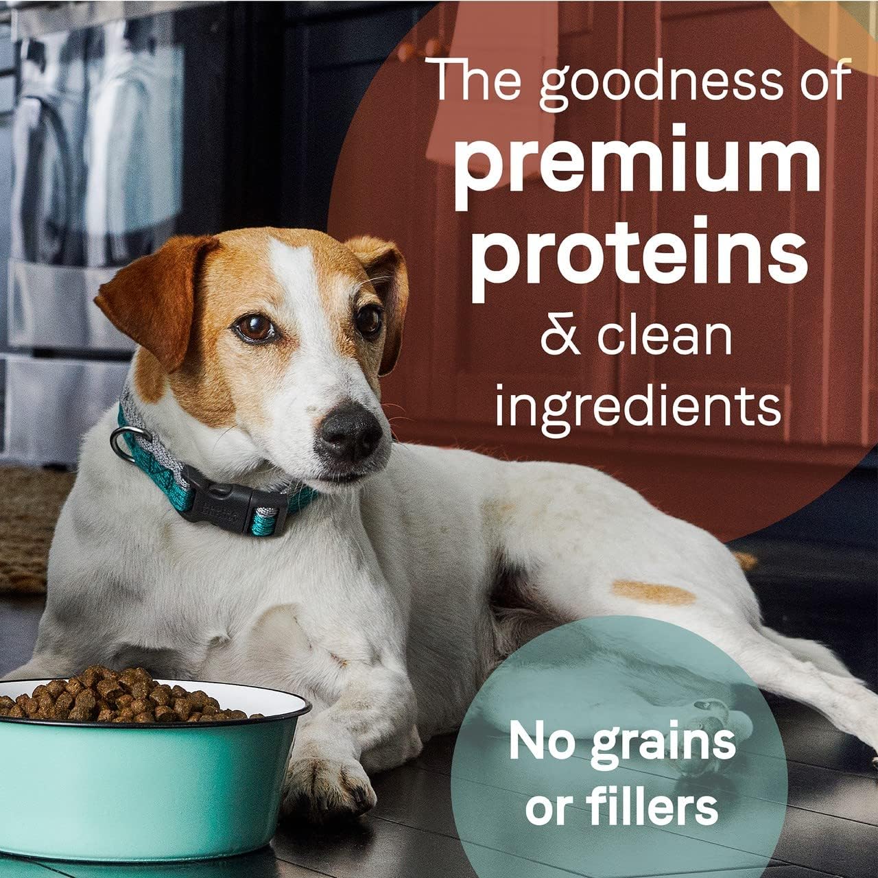 Canidae Pure Limited Ingredient Premium Adult Dry Dog Food, Real Wild Boar & Garbanzo Bean Recipe, 4 lbs, Grain Free