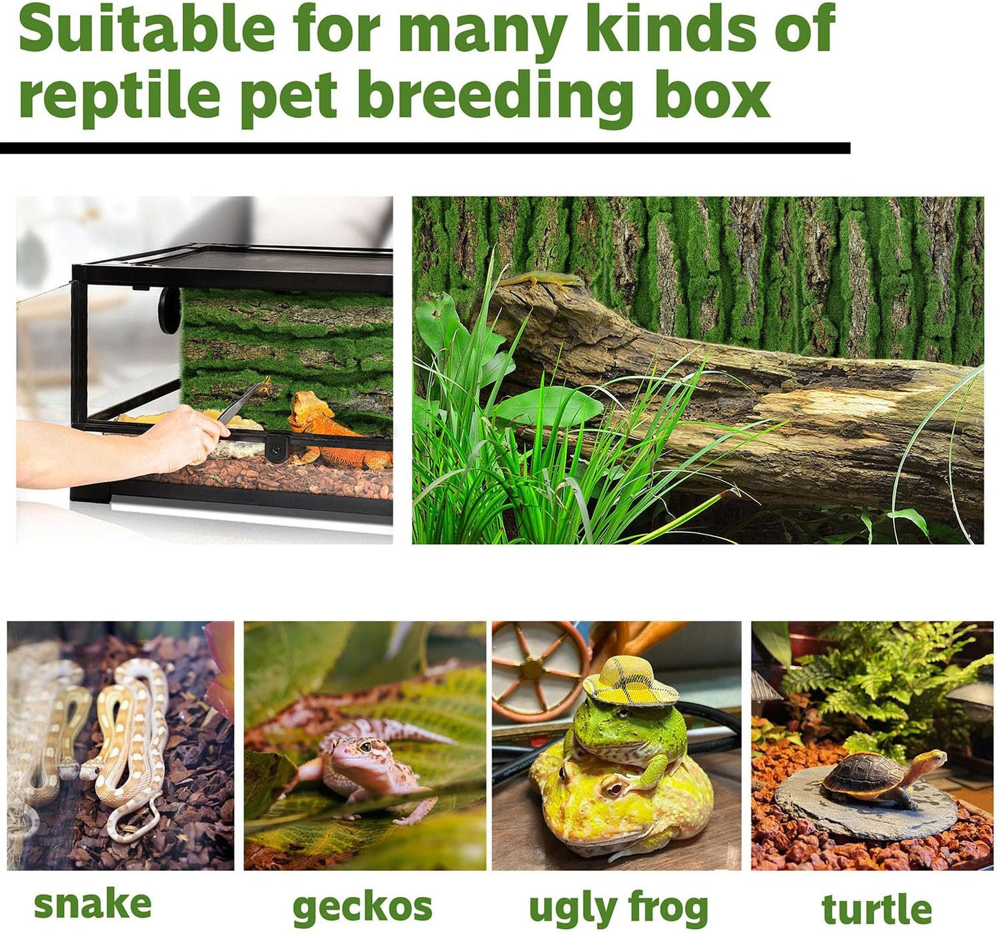 15.75x11.81in Reptile Terrarium Cork Background,Bearded Dragon Tank Bark Backdrop Wall Decor with Artificial Moss for Gecko Lizard Tortoise Frog Chameleon(1Pcs)