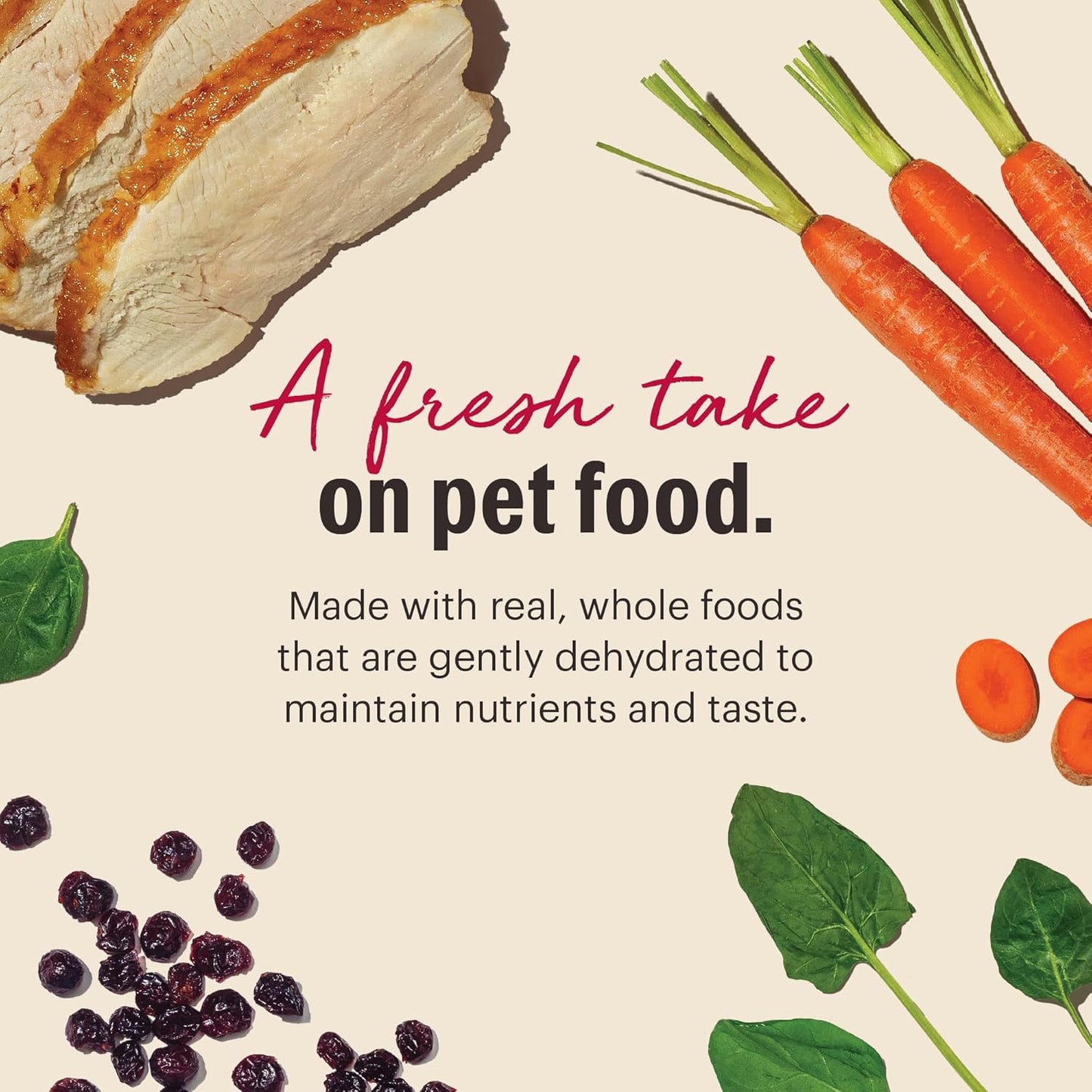 The Honest Kitchen Wholemade™ Grain Free Turkey Dog Food, 2 lb Bag