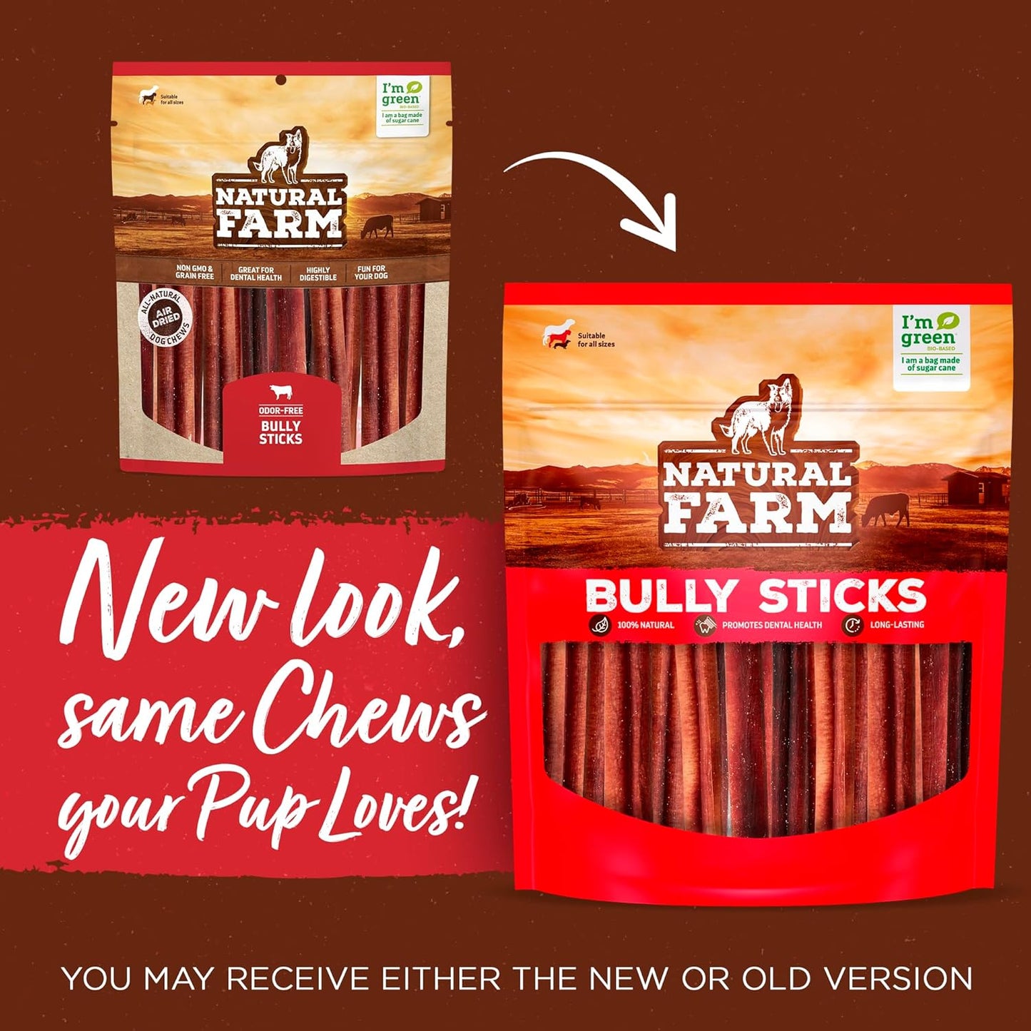 Natural Farm Odor-Free Bully Sticks (6”, 8oz) All-Natural Long-Lasting Chews, 100% Beef Pizzle, Grass-Fed, Grain-Free, Hormone-Free, Protein for Muscle Development & Energy, Perfect for Medium Dogs