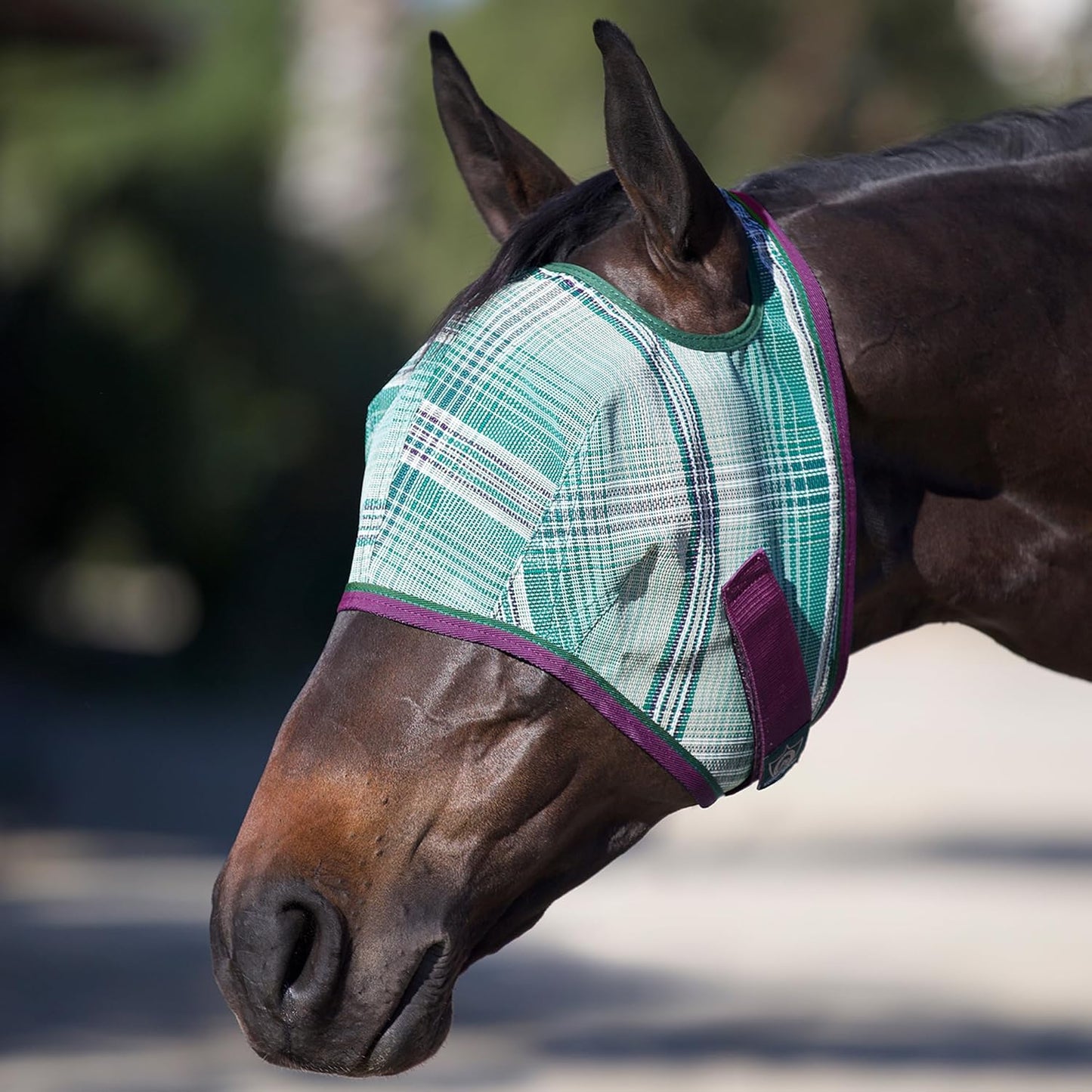 Kensington Fly Mask Web Trim Protects Horses Face and Eyes from Bites and Sun Rays While Allowing Full Visibility Ears and Forelock Able to Come Through The Mask, XXL-Draft, Imperial Jade