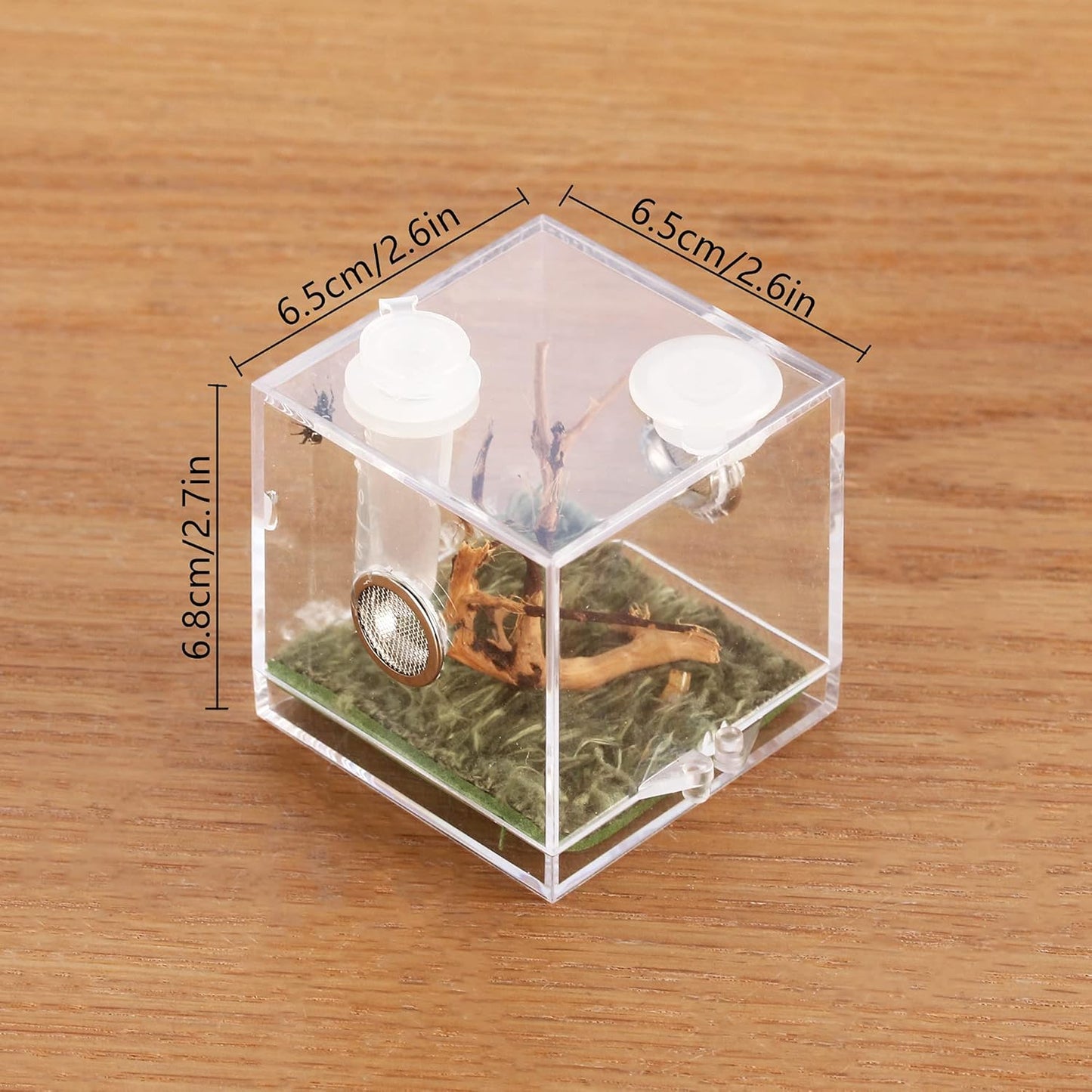 crapelles Jumping Spider Micro Big Habitat, Small Pet Insect Breeding Box, 360 Degree High Transparent Reptile Cage, Acrylic Case Mini Carrier for Amphibians, Feeding Container Enclosure Accessories