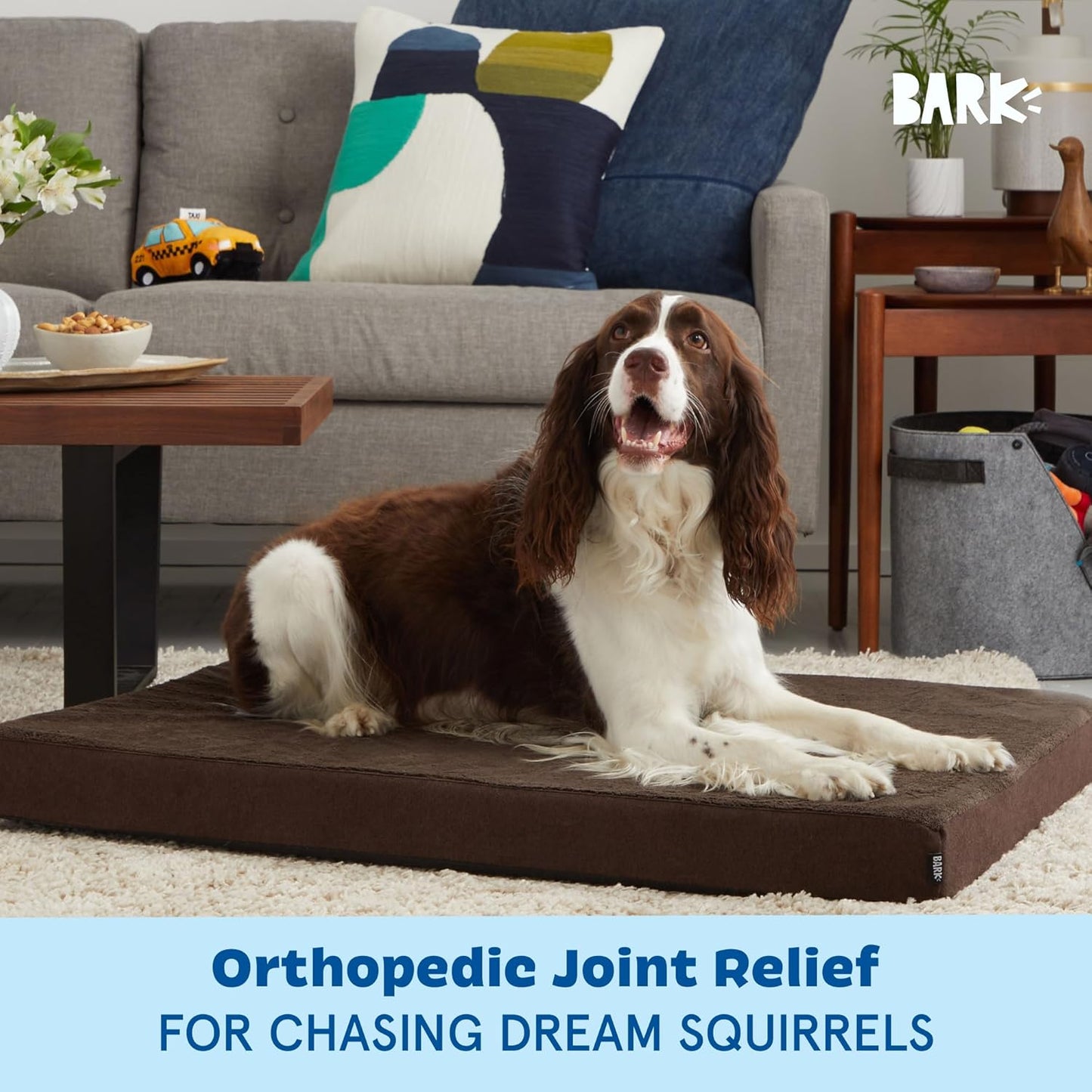 Barkbox Orthopedic Dog Bed with Memory Foam, Premium Comfort for Dogs and Puppies, Dog Bed for Joint Relief and Restful Sleep, Durable and Easy to Clean - Espresso, Large