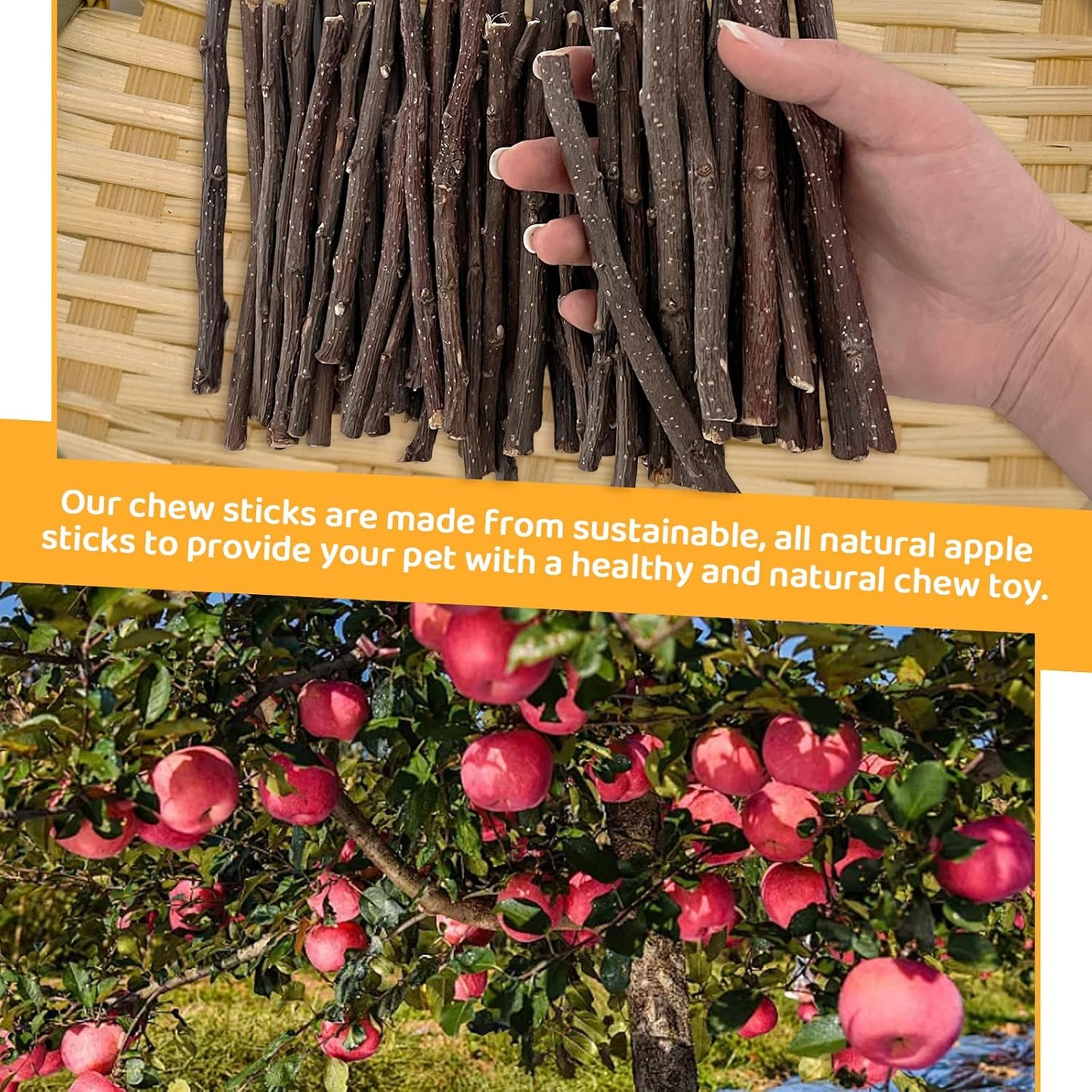 600g Apple Sticks Small Animals Wooden Pet Chew Treats Toys for Guinea Pigs Hamsters Rabbits Chinchillas Squirrels Small Animal Molar Wood Treats Toys