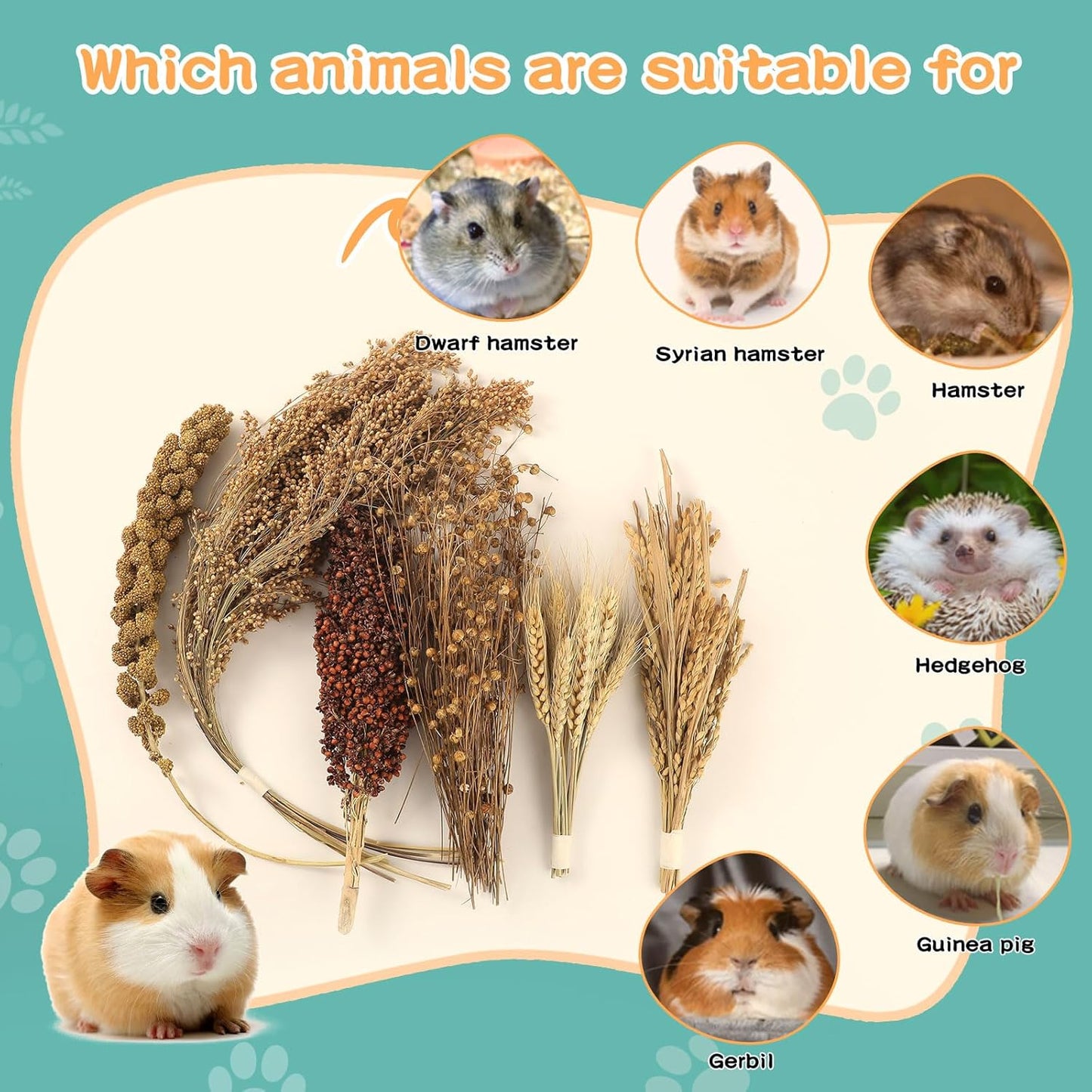 Hamster Spray Set - Natural Snack Grains & Chew Toys for Cage Decoration Accessories, Soft Bedding for Dwarf Syrian Hamsters, Gerbils, Mice & Small Pets