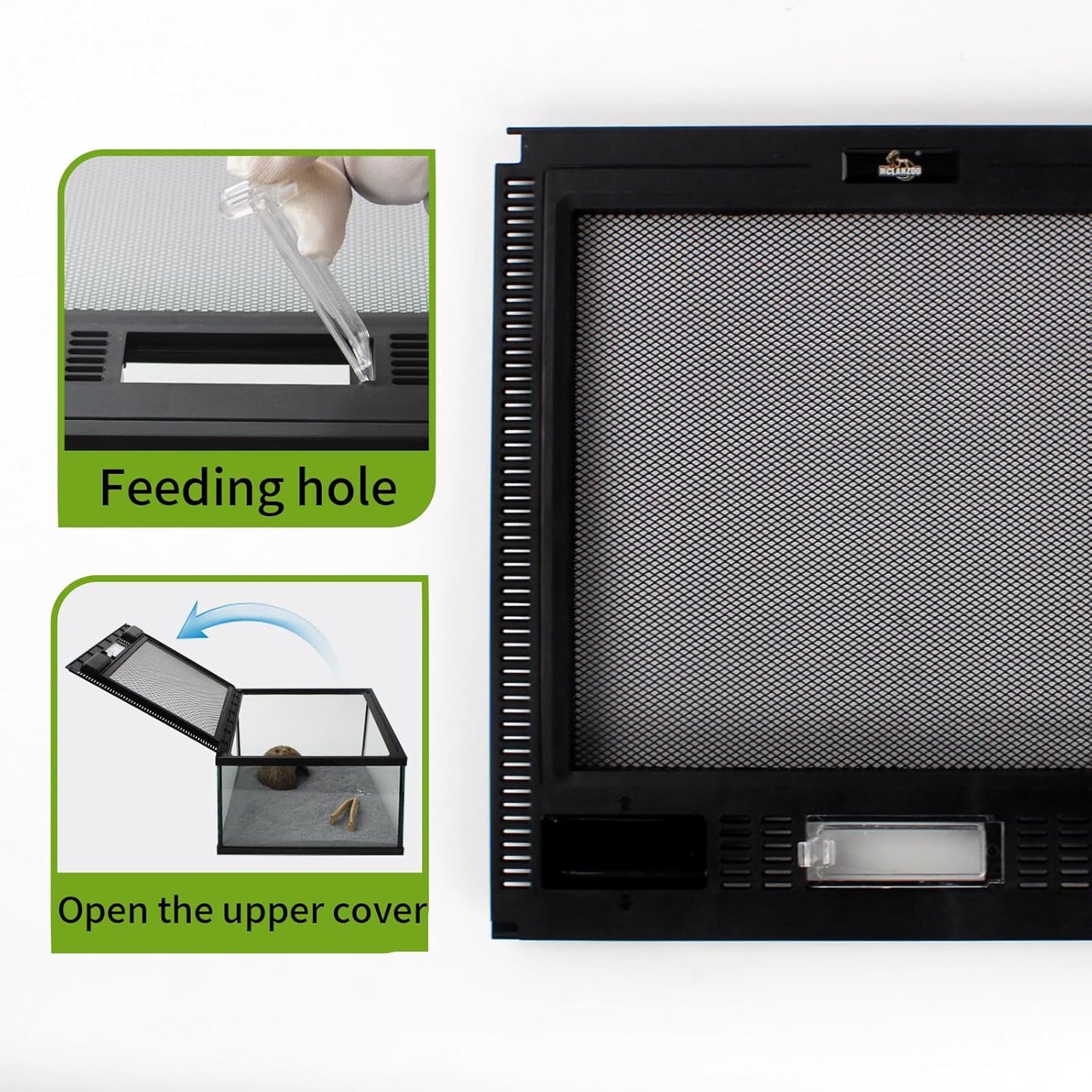 Reptile Glass Terrarium Tank 12 * 12 * 8" Full View with Top Ventilation, Amphibians Box Habitat Enclosure Cage for Frog,Spiders,Dubia Cockroach,Praying Mantis,Cricket,Tarantula,Hermit Crab