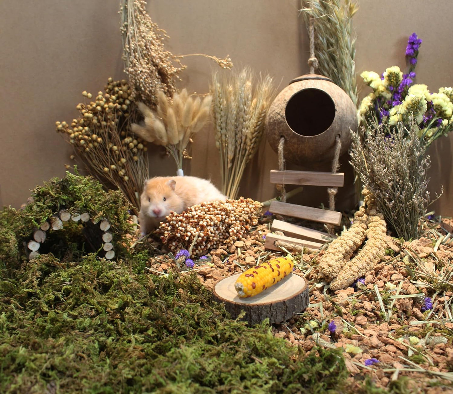 Natural Hamster Bedding - Flowers, Herbs, Sprays, Treat Cereal Grain for Cage Habitat Enclosure Decor - Hamster Chews for Dwarf Syrian Gerbils, Mice, Rat Forage - Pet Accessories