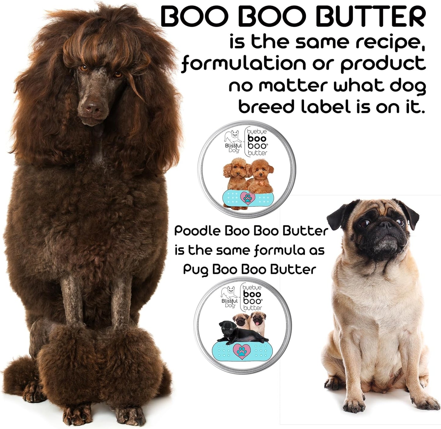 The Blissful Dog 8 oz TIN Border Collie Booboo Butter