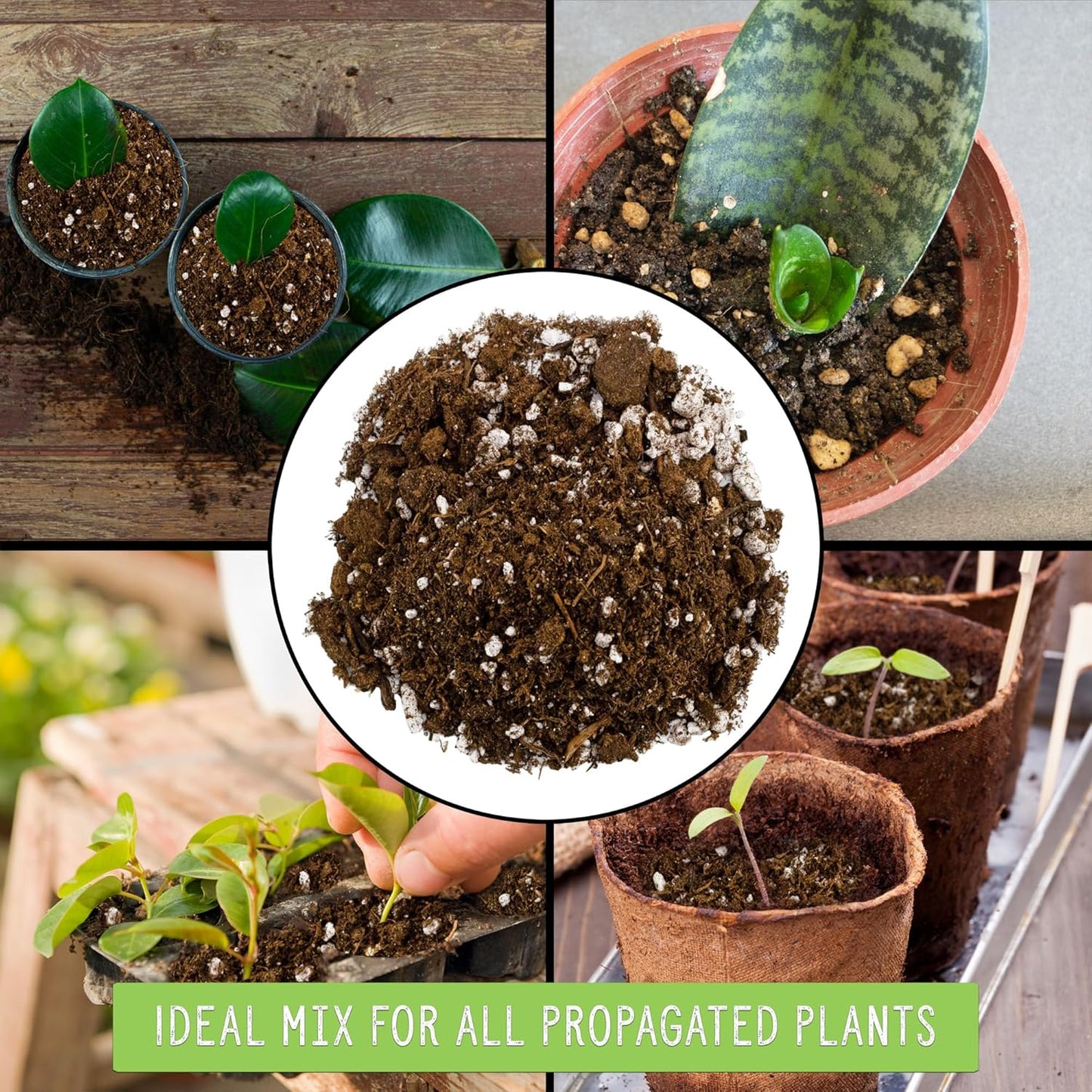 Planting Mix for Plant Propagation (4 Quarts), Hand Blended Soilless Mix for Propagating Plants, House Plants, and More