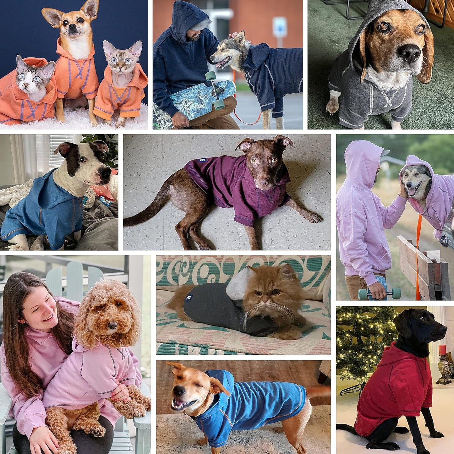 Blueberry Pet Essentials Soft & Comfy Better Basic Cotton Blend Dog Hoodie Sweatshirt in Alaskan Blue, Back Length 24", Pack of 1 Jacket for Dogs