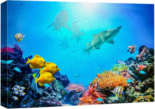 wall26 Canvas Print Wall Art Vibrant Coral Reef Shark Fish Anemone Reef Nature Animals Photography Realism Rustic Scenic Landscape Wilderness Earth for Living Room, Bedroom, Office - 24"x36"