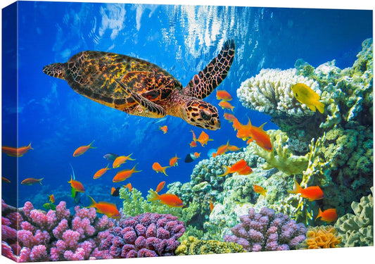 wall26 Canvas Print Wall Art Vibrant Neon Underwater Turtle, Reef & Fish Nature Animals Photography Realism Rustic Scenic Landscape Wilderness Colorful for Living Room, Bedroom, Office - 32"x48"