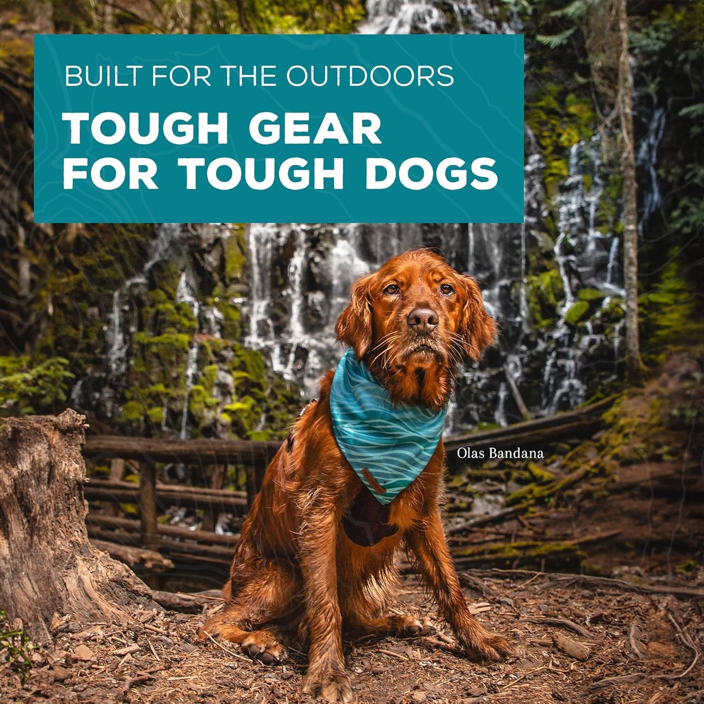 Wilderdog Dog Bandana with Lightweight Quick Drying Poly-Blend Mesh Material in The Lizards