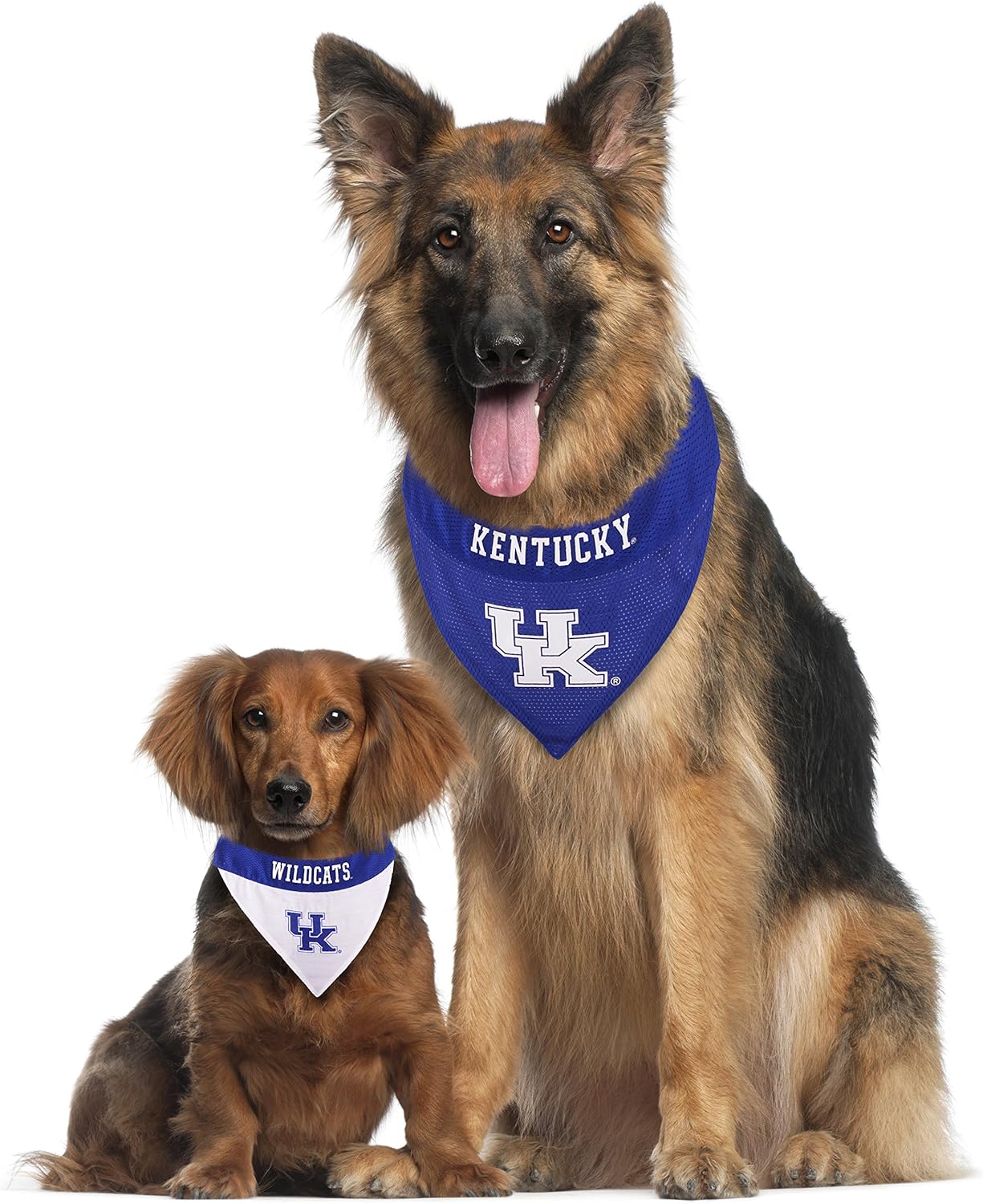 Pets First Collegiate Pet Accessories, Reversible Bandana, Kentucky Wildcats, Large/X-Large