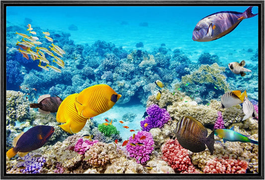 wall26 Framed Canvas Print Wall Art Tropical Underwater Ocean Sea Fish Reef Nature Animals Realism Rustic Scenic Landscape Wilderness Earth Colorful for Living Room, Bedroom, Office - 24"x36" Black