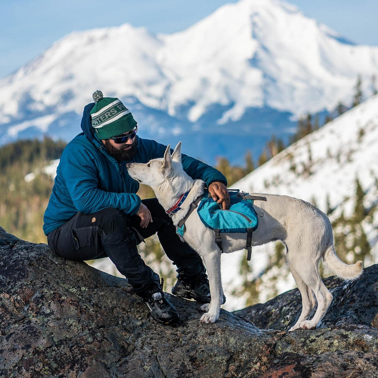 Kurgo Dog Saddlebag Backpack, Back Pack Dog Harness, Hiking Pack for Dogs, Packs for Pets to Wear, Camping & Travel Vest Harness, Reflective, Lightweight, Baxter Pack, for Medium & Large Pets