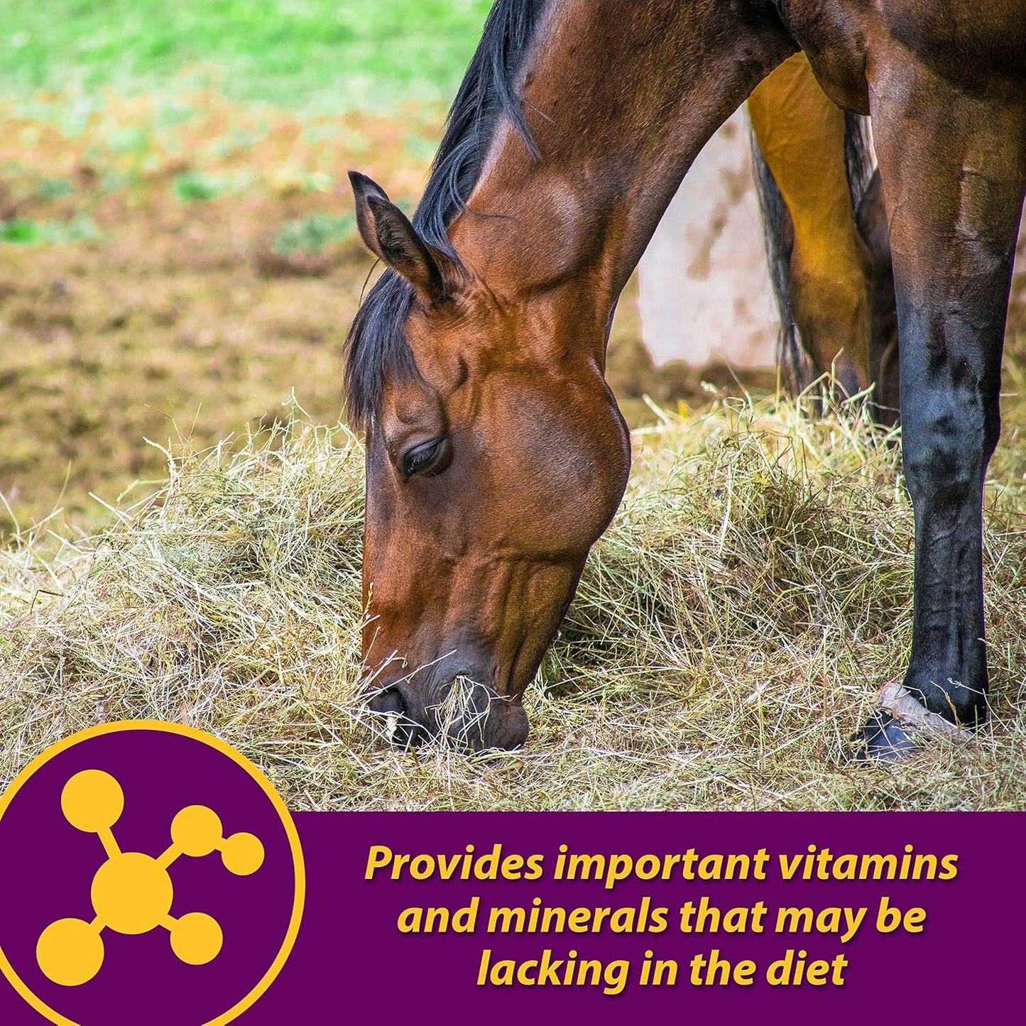 Farnam Horse Health Red Cell Pellets, Vitamin-Iron-Mineral Supplement for Horses, Helps Fill Important Nutritional Gaps in Horse's Diet, 4 lbs., 64-Day Supply